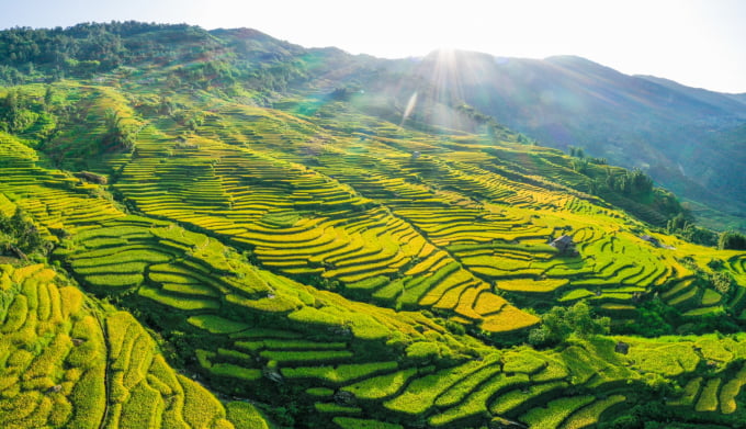 Du lịch Y Tý: Kinh nghiệm khám phá mùa lúa vàng tháng 9 - Ảnh 1.