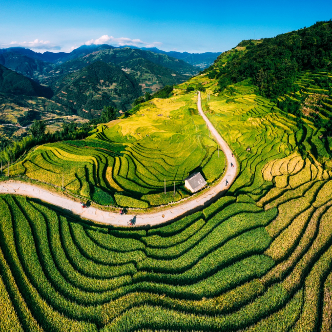 Du lịch Y Tý: Kinh nghiệm khám phá mùa lúa vàng tháng 9 - Ảnh 3.