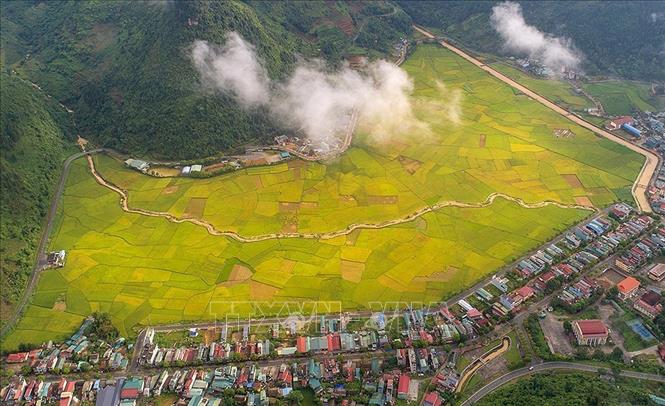 &quot;Dải lụa vàng&quot; ở thung lũng Mường Khương  - Ảnh 4.