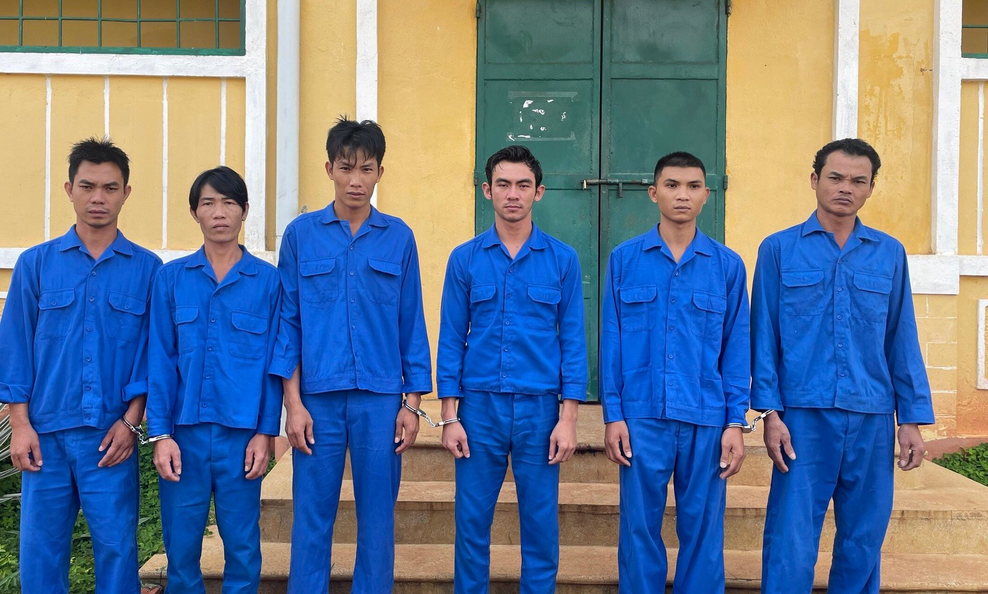 Đắk Nông: Bắt nhóm đối tượng thuê ô tô đi trộm mèo - Ảnh 1.