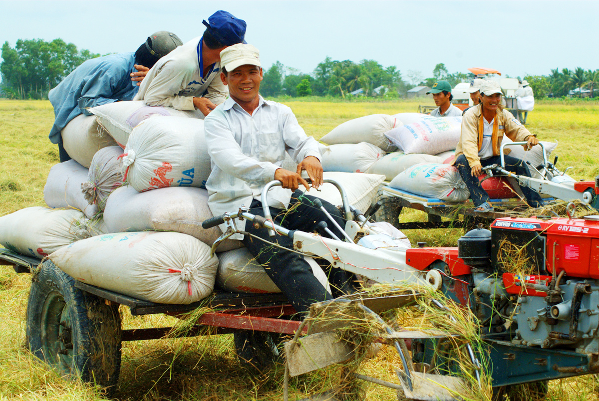 Trăn trở với dự án Luật Hợp tác xã 2012 sửa đổi - Ảnh 1. Trăn trở với dự án Luật Hợp tác xã 2012 sửa đổi - Ảnh 1.
