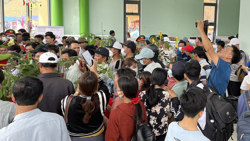 Cây sâm Ngọc Linh 9 nhánh được bán với giá 900 triệu đồng - Ảnh 2. Cây sâm Ngọc Linh 9 nhánh được bán với giá 900 triệu đồng - Ảnh 2.