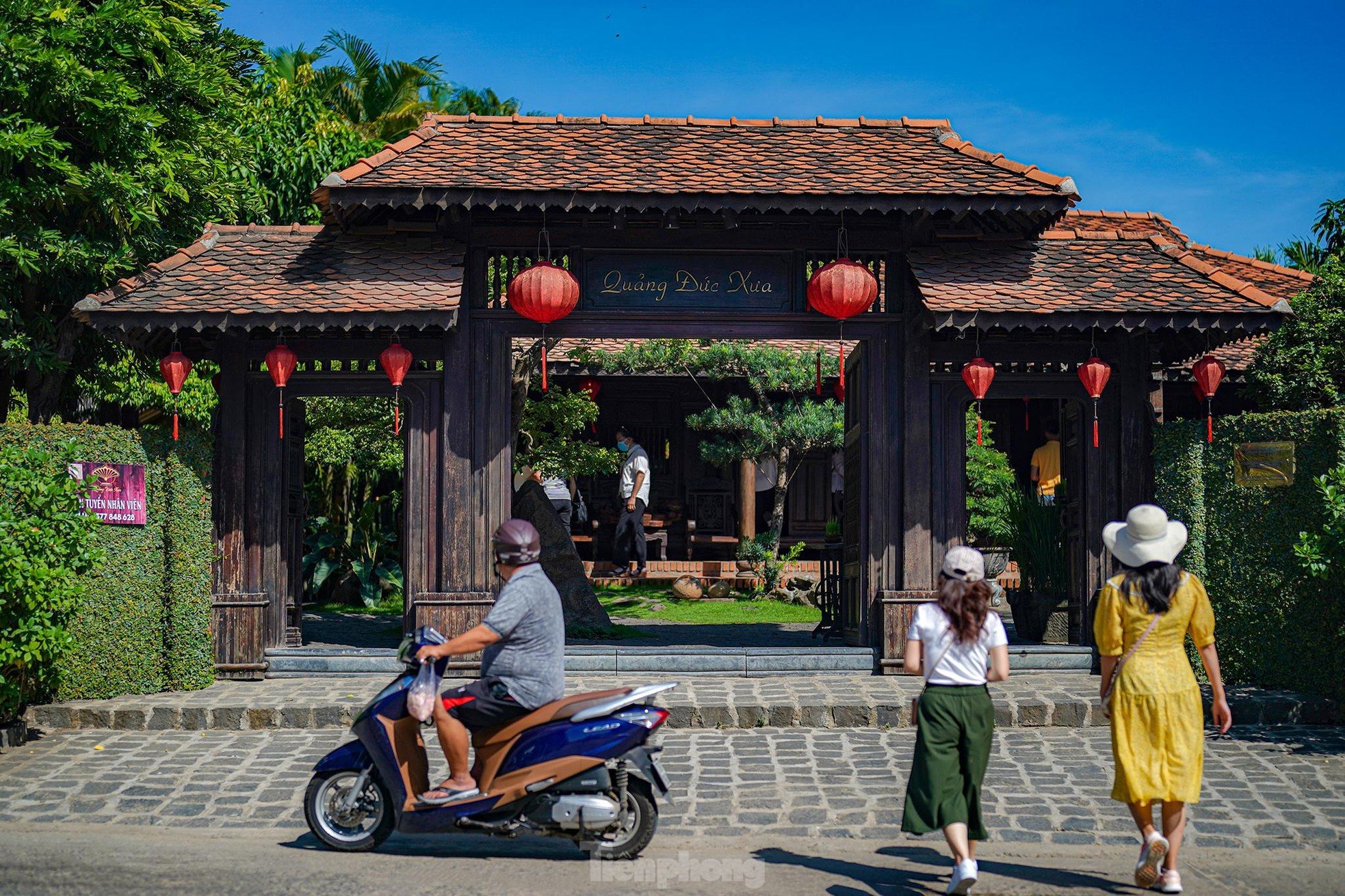 Cảnh đẹp hút hồn ở xứ &quot;Hoa vàng trên cỏ xanh&quot; - Ảnh 10.