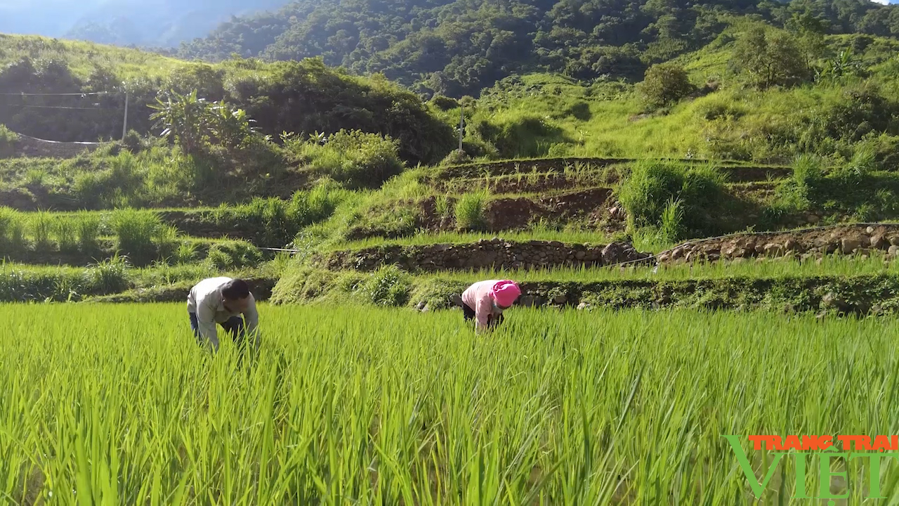 Sơn La: Tiếp bước truyền thống trên quê hương cách mạng - Ảnh 4. Sơn La: Tiếp bước truyền thống trên quê hương cách mạng - Ảnh 4.
