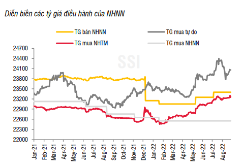 457.000 tỷ đồng tín dụng: Room của các ngân hàng dự báo có thêm 3-5% - Ảnh 4. 457.000 tỷ đồng tín dụng: Room của các ngân hàng dự báo có thêm 3-5% - Ảnh 4.