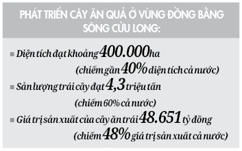 gop/Trồng cây ăn trái chuyên nghiệp - giảm chi phí, tăng hiệu quả - Ảnh 4.