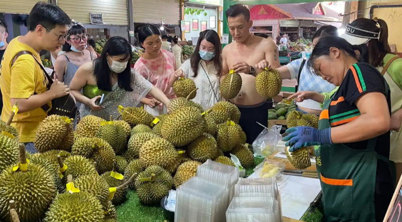 Trung Quốc &quot;sốt&quot; sầu riêng, các nước Đông Nam Á ráo riết mở rộng xuất khẩu - Ảnh 1.