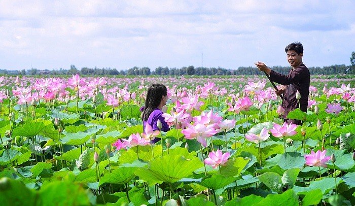 Đưa &quot;giấc mơ&quot; sen Đồng Tháp đi xa hơn: Không chỉ bán sản phẩm mà bán cả câu chuyện - Ảnh 1.