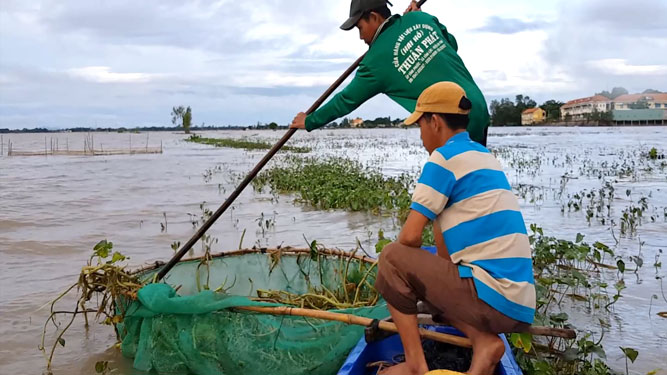 Sản vật nước nổi ở miền Tây đã bước vào mùa, ngoài cua, ếch, lươn đồng thì còn có rắn - Ảnh 2.