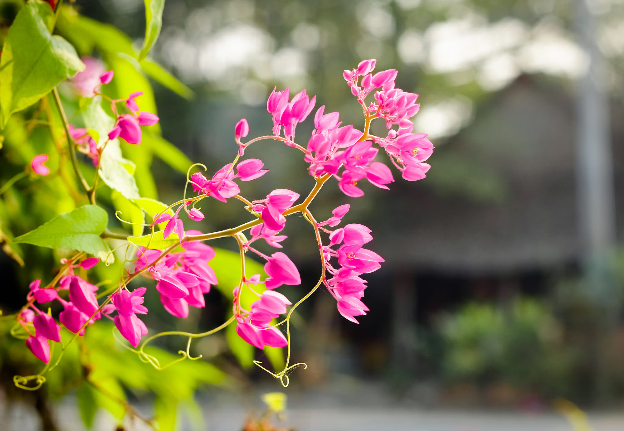5 ngày tới đây, 3 con giáp có vận số lên hương, thu hái bộn tiền - Ảnh 2.