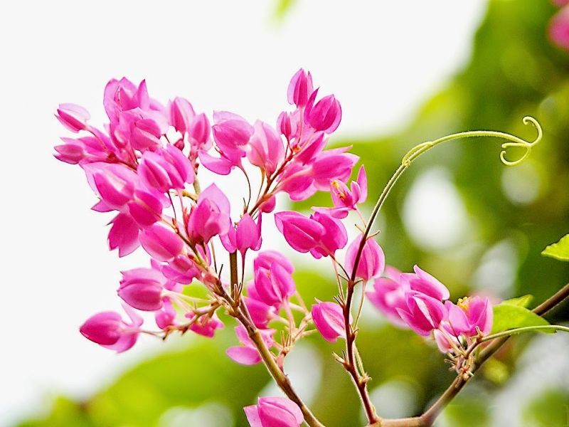 5 ngày tới đây, 3 con giáp có vận số lên hương, thu hái bộn tiền - Ảnh 3.