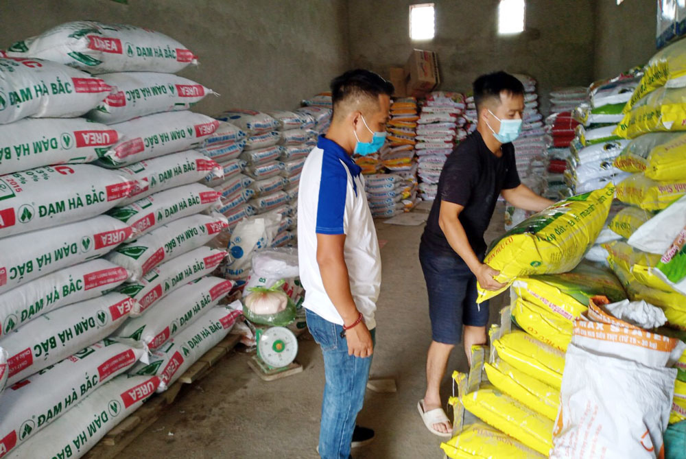 Vì sao nhiều loại phân bón vẫn tăng giá kỷ lục? - Ảnh 2. Vì sao nhiều loại phân bón vẫn tăng giá kỷ lục? - Ảnh 2.