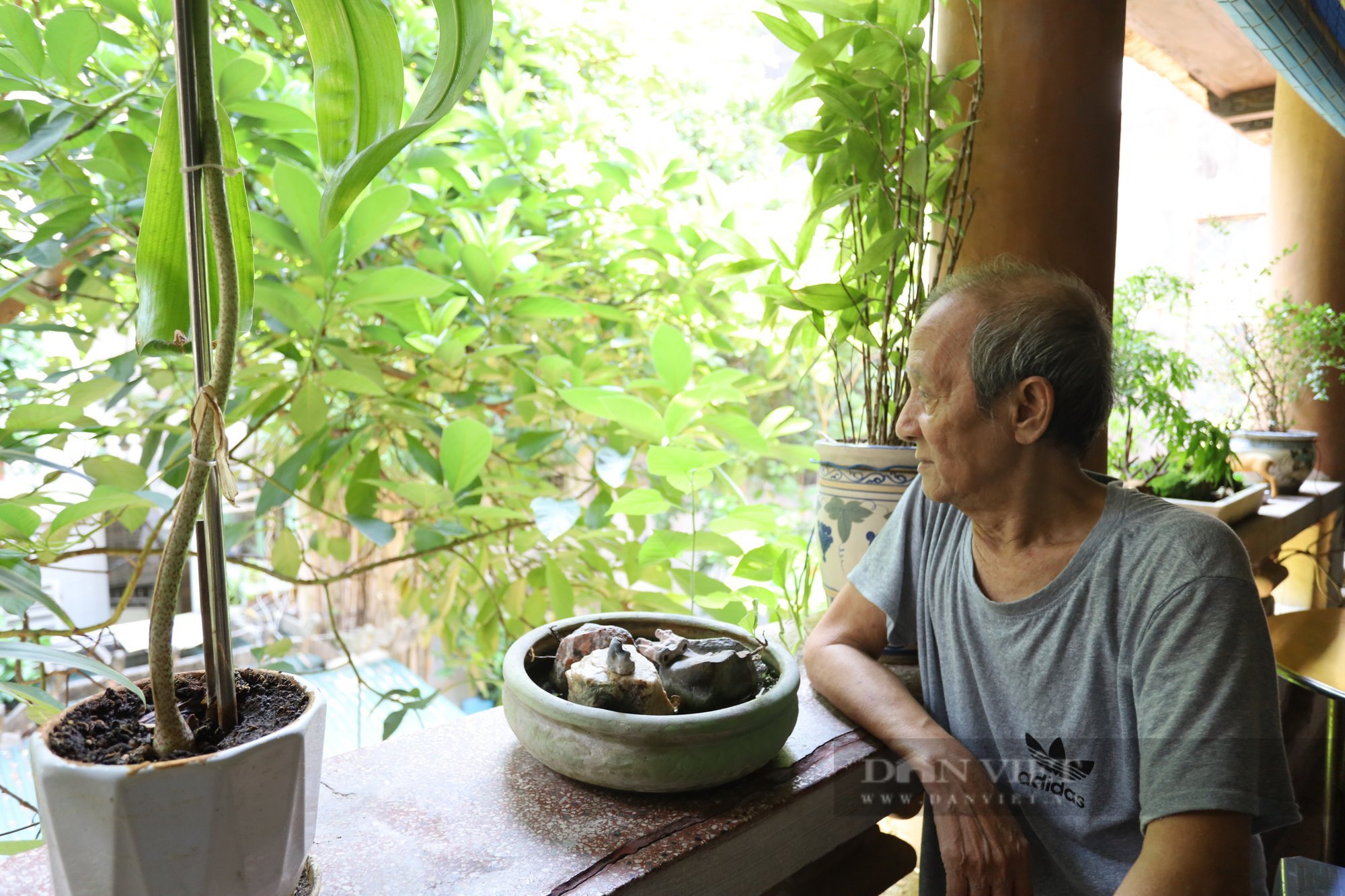Khám phá ngôi biệt thự cổ gần 100 năm tuổi giữa lòng phố cổ Hà Nội - Ảnh 5.