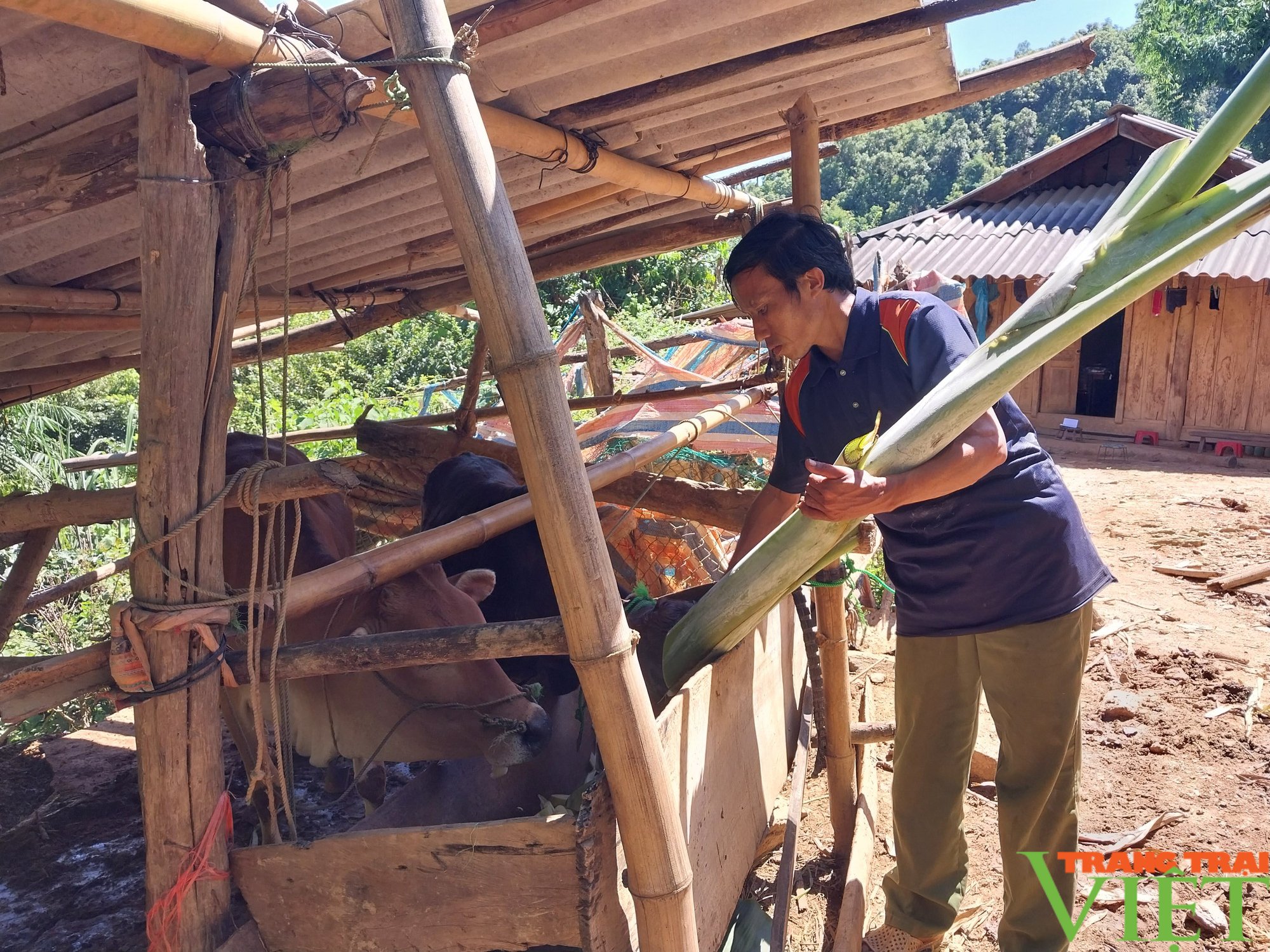 Giải pháp nào để giúp xã nghèo vùng cao Sơn La vươn lên - Ảnh 5. Giải pháp nào để giúp xã nghèo vùng cao Sơn La vươn lên - Ảnh 5.