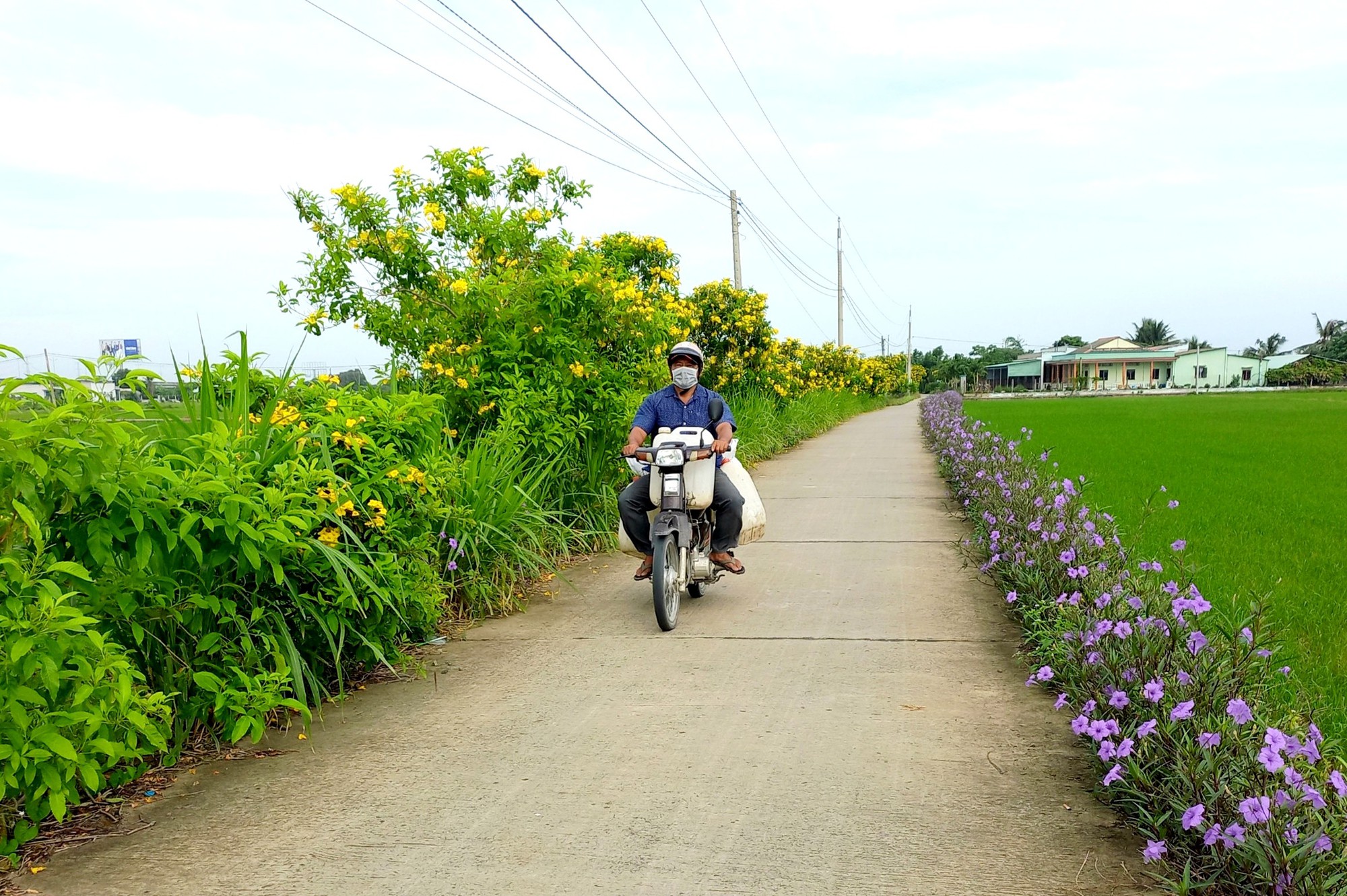 Long An hướng đến xã nông thôn mới nâng cao - Ảnh 3.