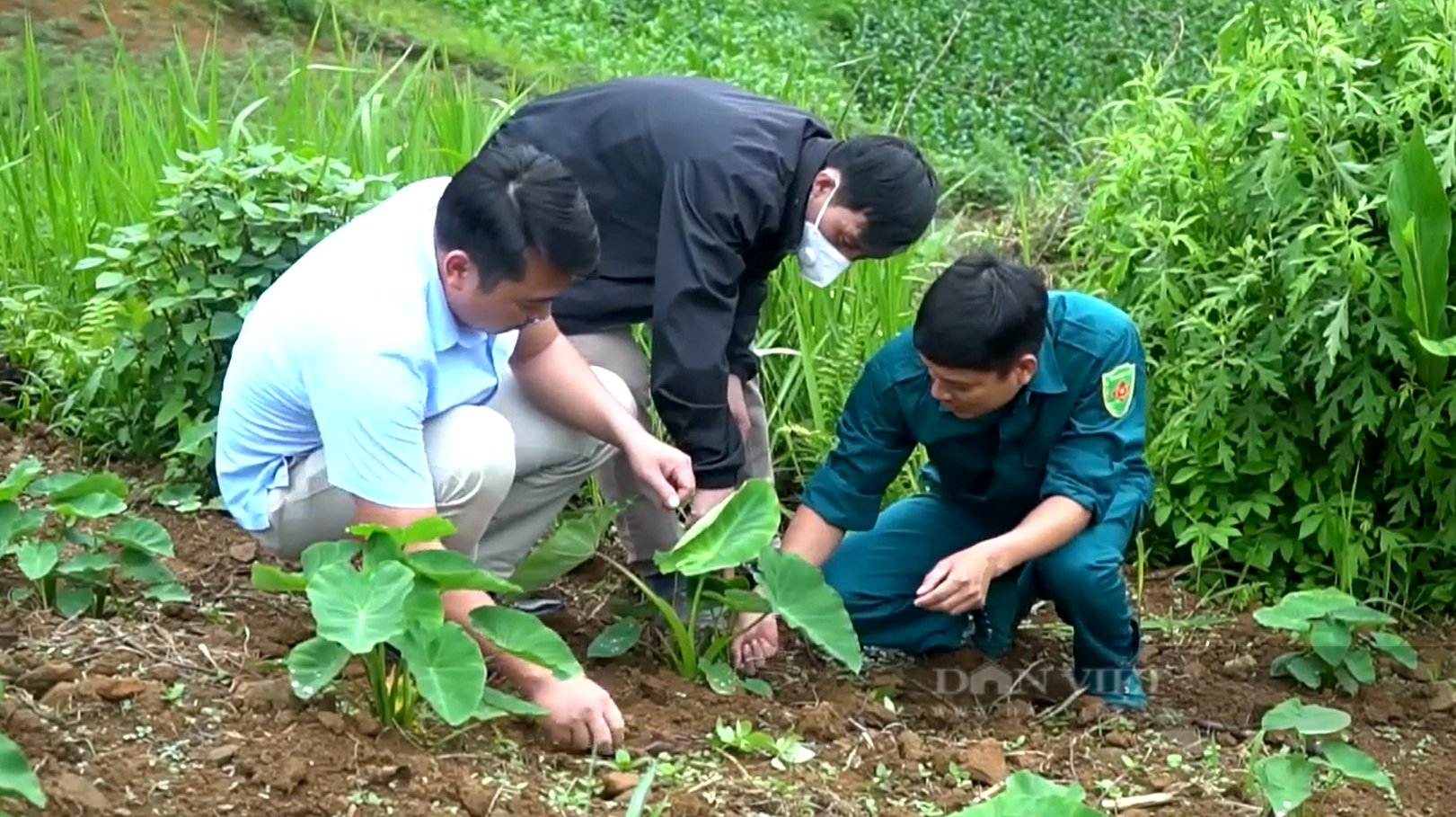 Chinh sách hỗ trợ nông nghiệp giúp Lai Châu có mô hình kinh tế mới - Ảnh 4.