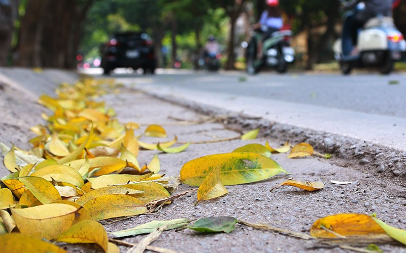 Ký ức Hà Nội: Mùa thu Hà Nội đẹp đến nao lòng - Ảnh 3.