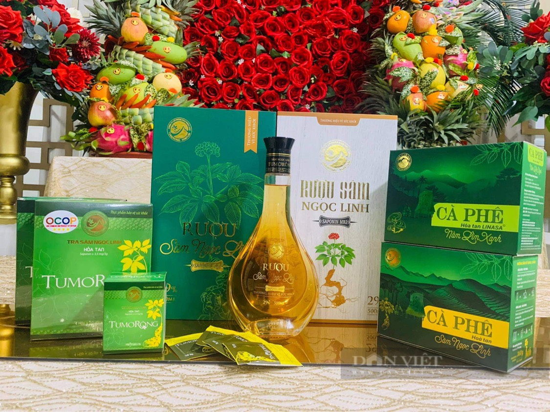 Kon Tum và Quảng Nam với giấc mơ đưa sâm Ngọc Linh đến thị trường quốc tế - Ảnh 7.