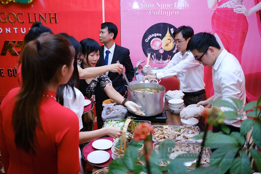 Kon Tum và Quảng Nam với giấc mơ đưa sâm Ngọc Linh đến thị trường quốc tế - Ảnh 8.