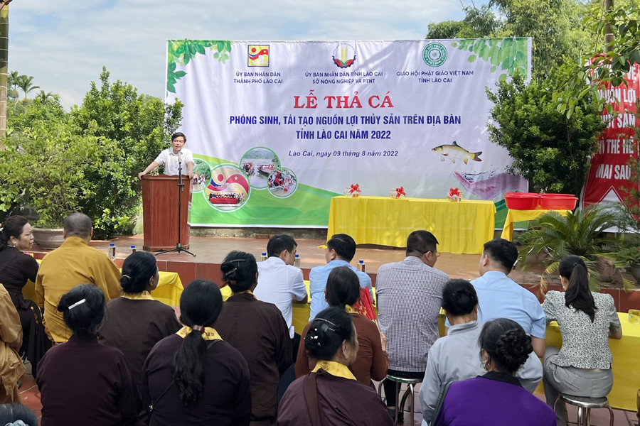 Lào Cai: Thả hơn 30 nghìn con cá giống tái tạo nguồn lợi thủy sản - Ảnh 1. Lào Cai: Thả hơn 30 nghìn con cá giống tái tạo nguồn lợi thủy sản - Ảnh 1.