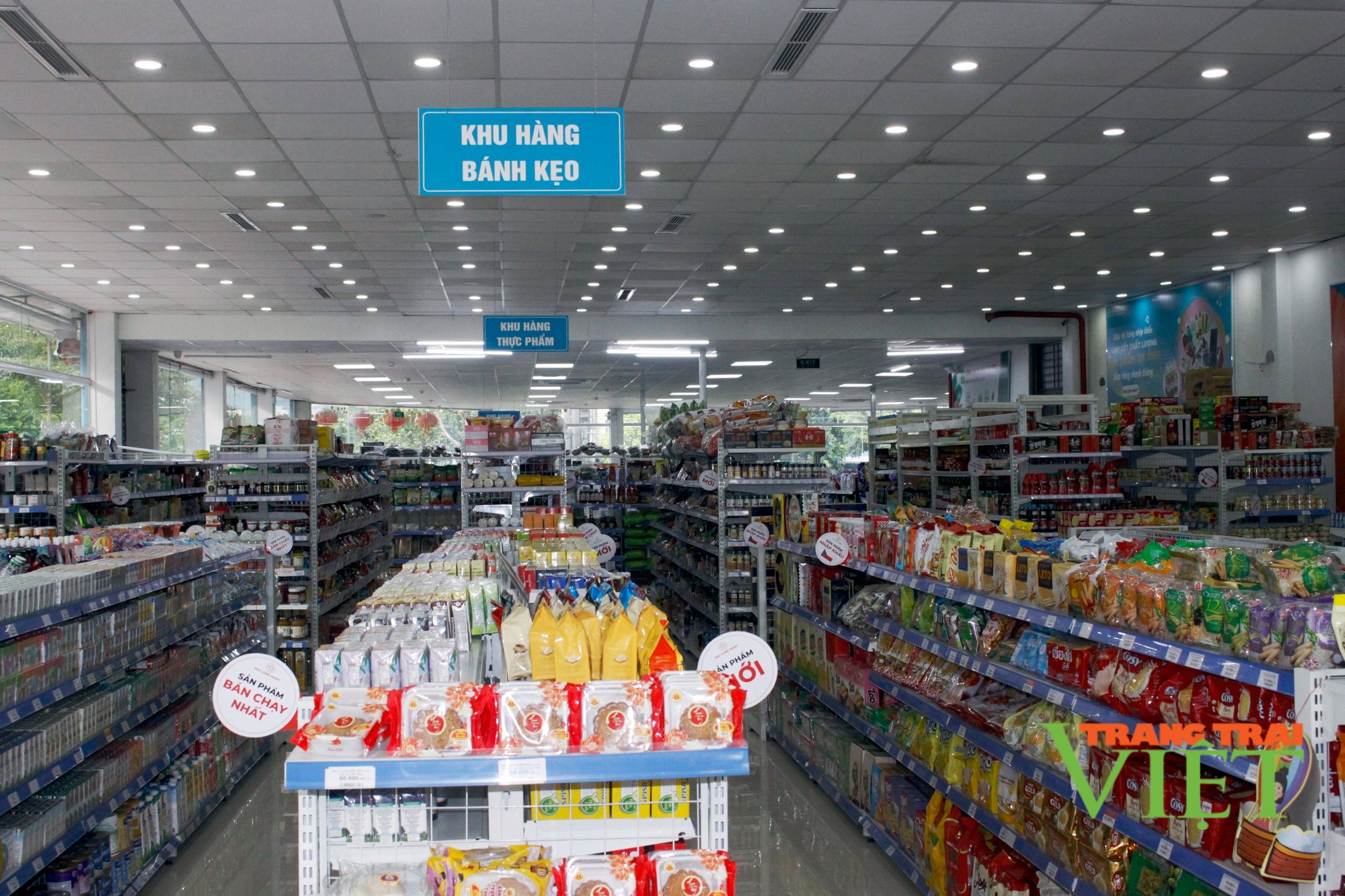 Lào Cai: Đẩy mạnh công tác chống buôn lậu, gian lận thương mại, hàng giả - Ảnh 1. Lào Cai: Đẩy mạnh công tác chống buôn lậu, gian lận thương mại, hàng giả - Ảnh 1.