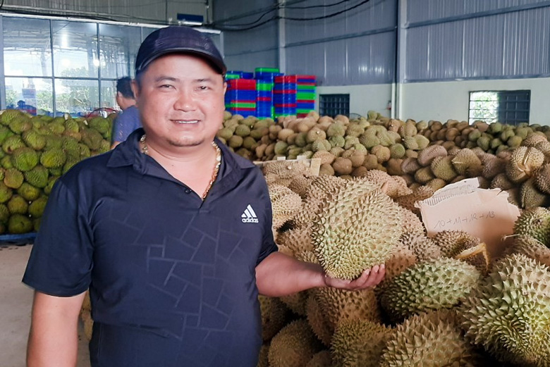 Đông cứng loại &quot;trái cây vua&quot;, mỗi tuần ông chủ vựa xuất khẩu hàng chục tấn sang Trung Quốc, Úc - Ảnh 1.