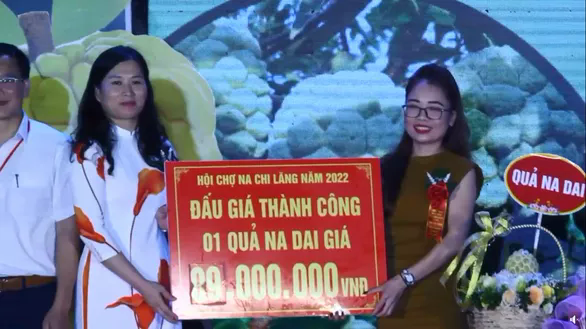 Vì sao 3 quả na có giá tới 159 triệu đồng? - Ảnh 1. Vì sao 3 quả na có giá tới 159 triệu đồng? - Ảnh 1.