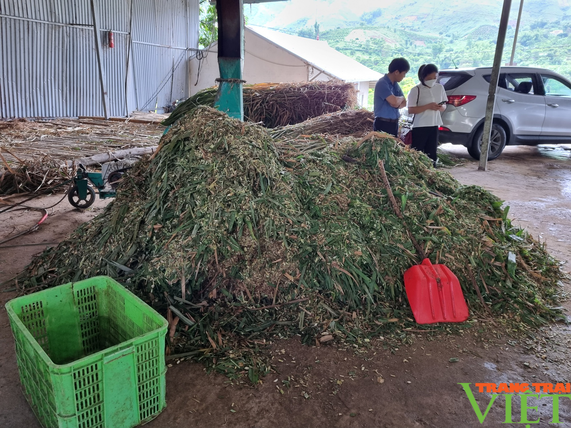 Hiệu quả mô hình nuôi bò sinh sản nhốt chuồng trên đệm lót sinh học ở huyện biên giới Sông Mã - Ảnh 4.