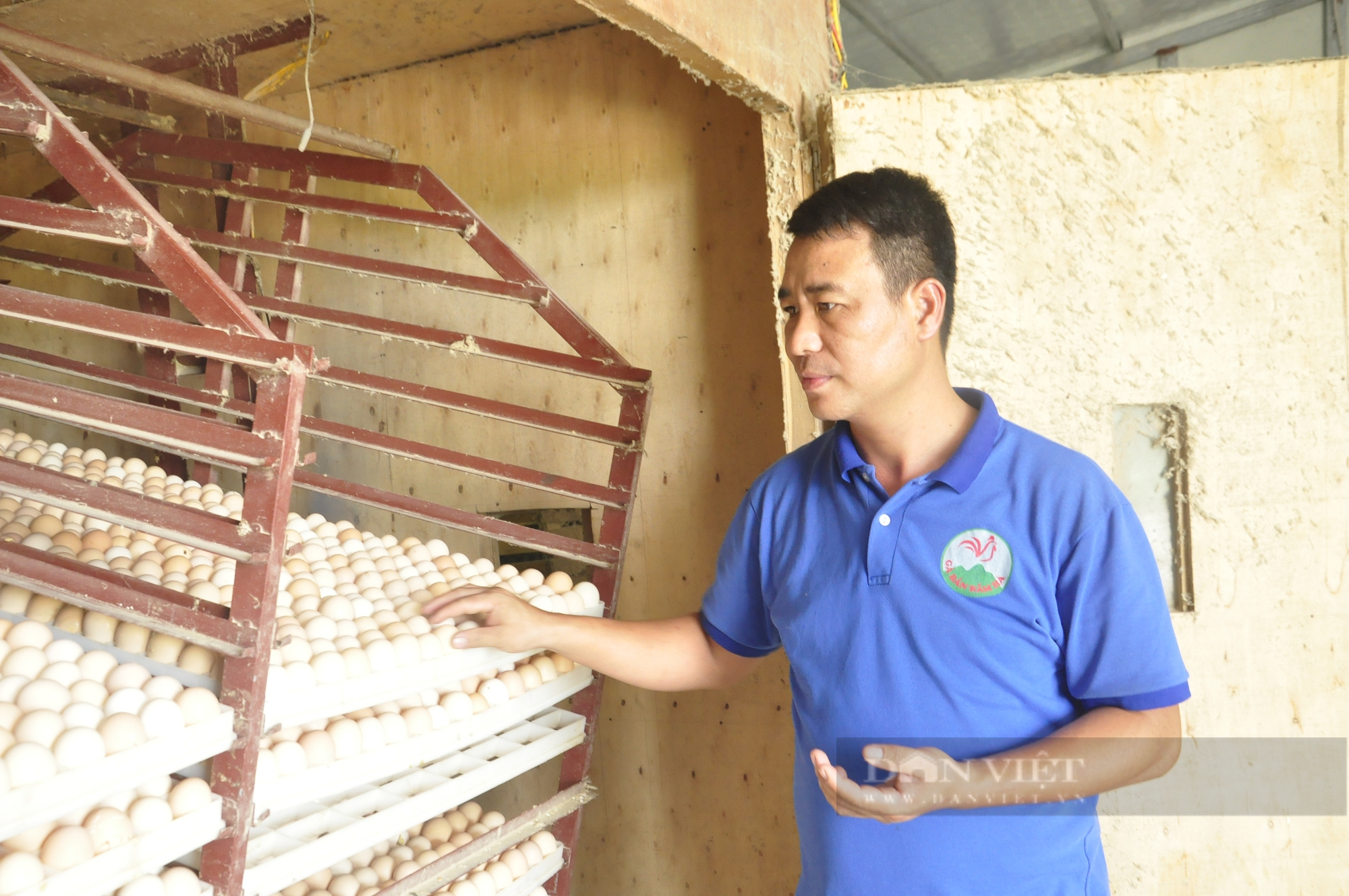 Nông dân Việt Nam xuất sắc 2022 là người phục tráng giống gà bản địa quý của Quảng Ninh - Ảnh 3.