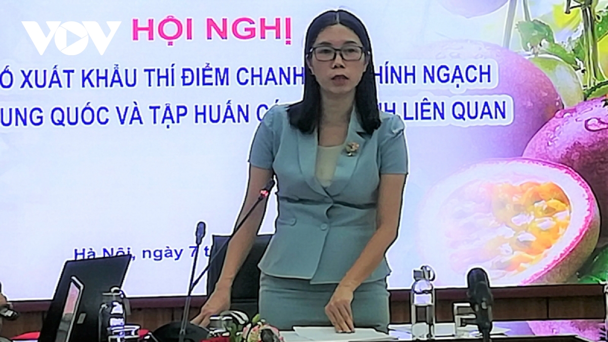 Xuất khẩu sầu riêng sang Trung Quốc cần duy trì tiêu chuẩn đáp ứng - Ảnh 1.