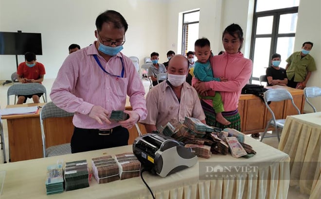 Nông dân Việt Nam xuất sắc ở Yên Bái là tỷ phú người Mông đã từng bị cho là “thằng không ra gì” - Ảnh 2.