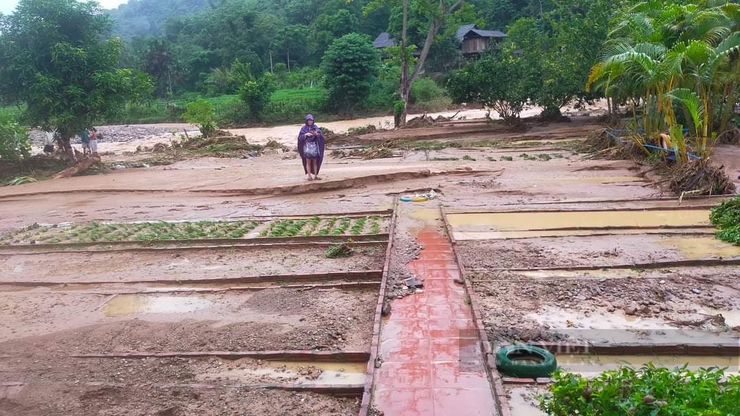 Giáo viên lội suối, băng rừng đến lớp, rớm nước mắt nhìn cảnh trường bị tàn phá kinh hoàng sau lũ - Ảnh 9.