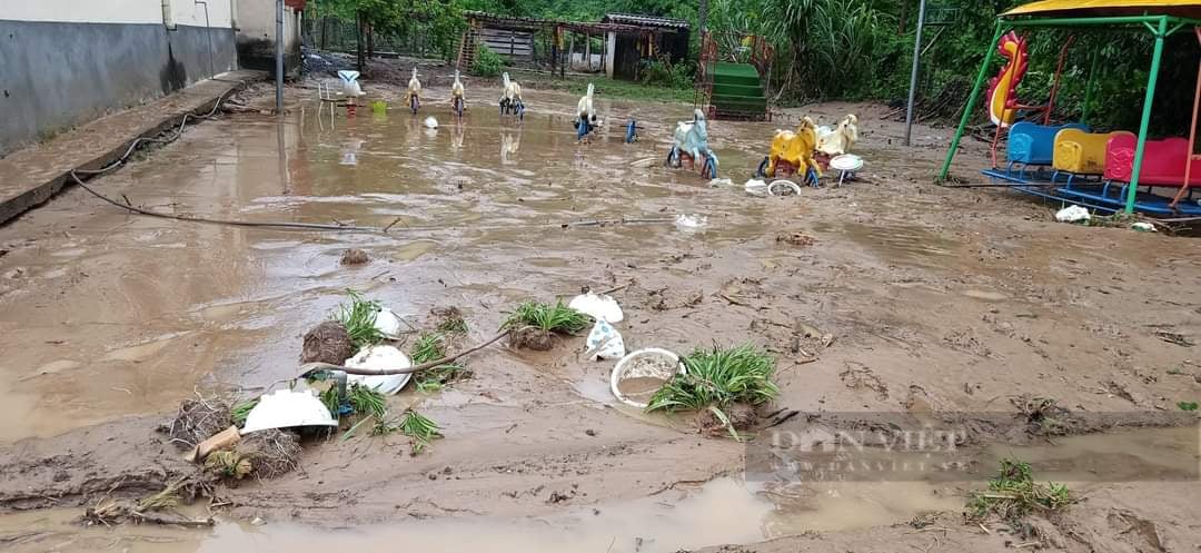 Giáo viên lội suối, băng rừng đến lớp, rớm nước mắt nhìn cảnh trường bị tàn phá kinh hoàng sau lũ - Ảnh 8.