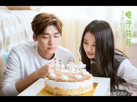 Những bộ phim hay nhất của Lý Dịch Phong trước khi bị &quot;phong sát&quot; - Ảnh 3.