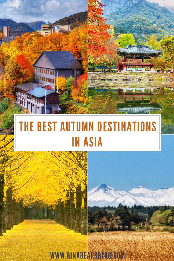Tạp chí du lịch CNTraveller chọn Việt Nam vào Top những điểm đến tháng 10 - Ảnh 2.