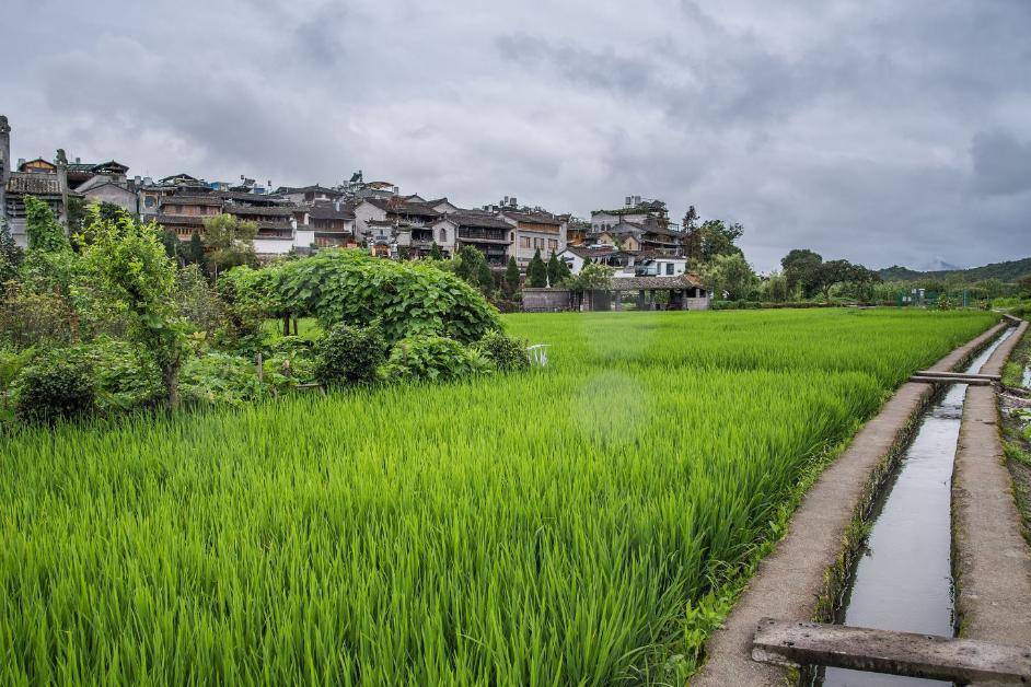Cổ trấn đẹp tựa thiên đường, nơi xuất thân của 400 học giả nổi tiếng tại Trung Quốc. - Ảnh 5.