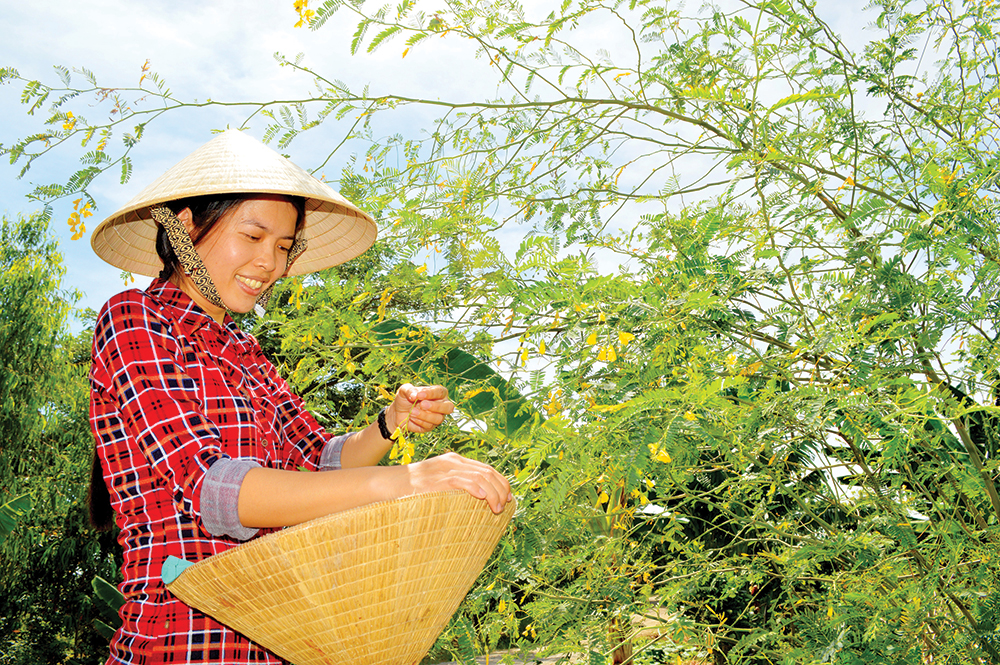 Cá linh non đầu mùa, bông điên điển đồng, thức đặc sản mùa nước nổi ở An Giang - Ảnh 2.