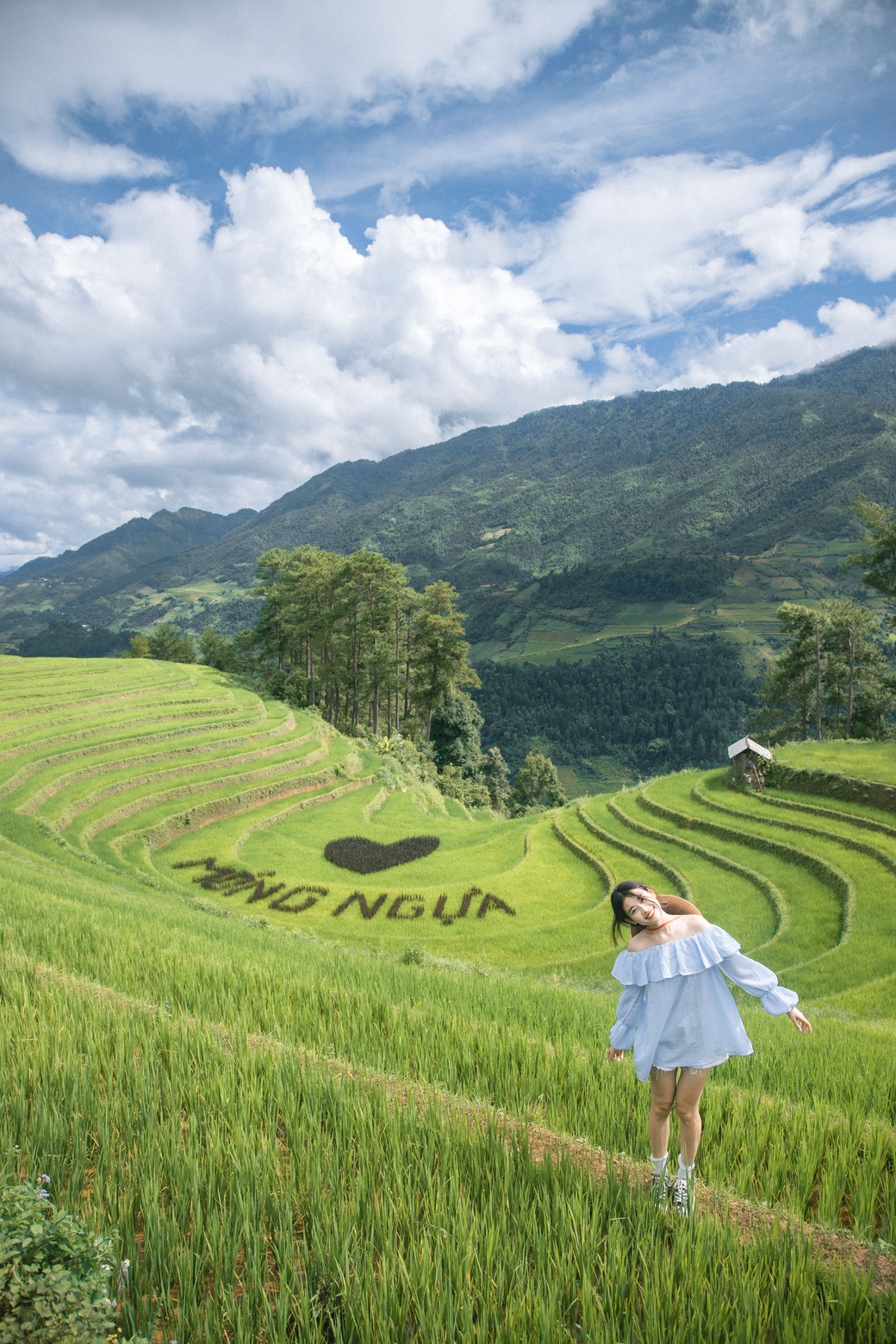 Mù Cang Chải mùa lúa chín - Ảnh 6.