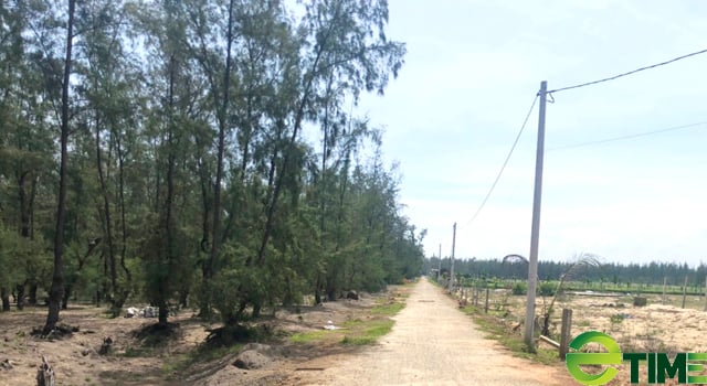 Quảng Ngãi: Xử rắn tay Chủ tịch huyện, thành thị buông lỏng quản lý đất khu vực ven biển - Ảnh 1. Quảng Ngãi: Xử rắn tay Chủ tịch huyện, thành thị buông lỏng quản lý đất khu vực ven biển - Ảnh 1.