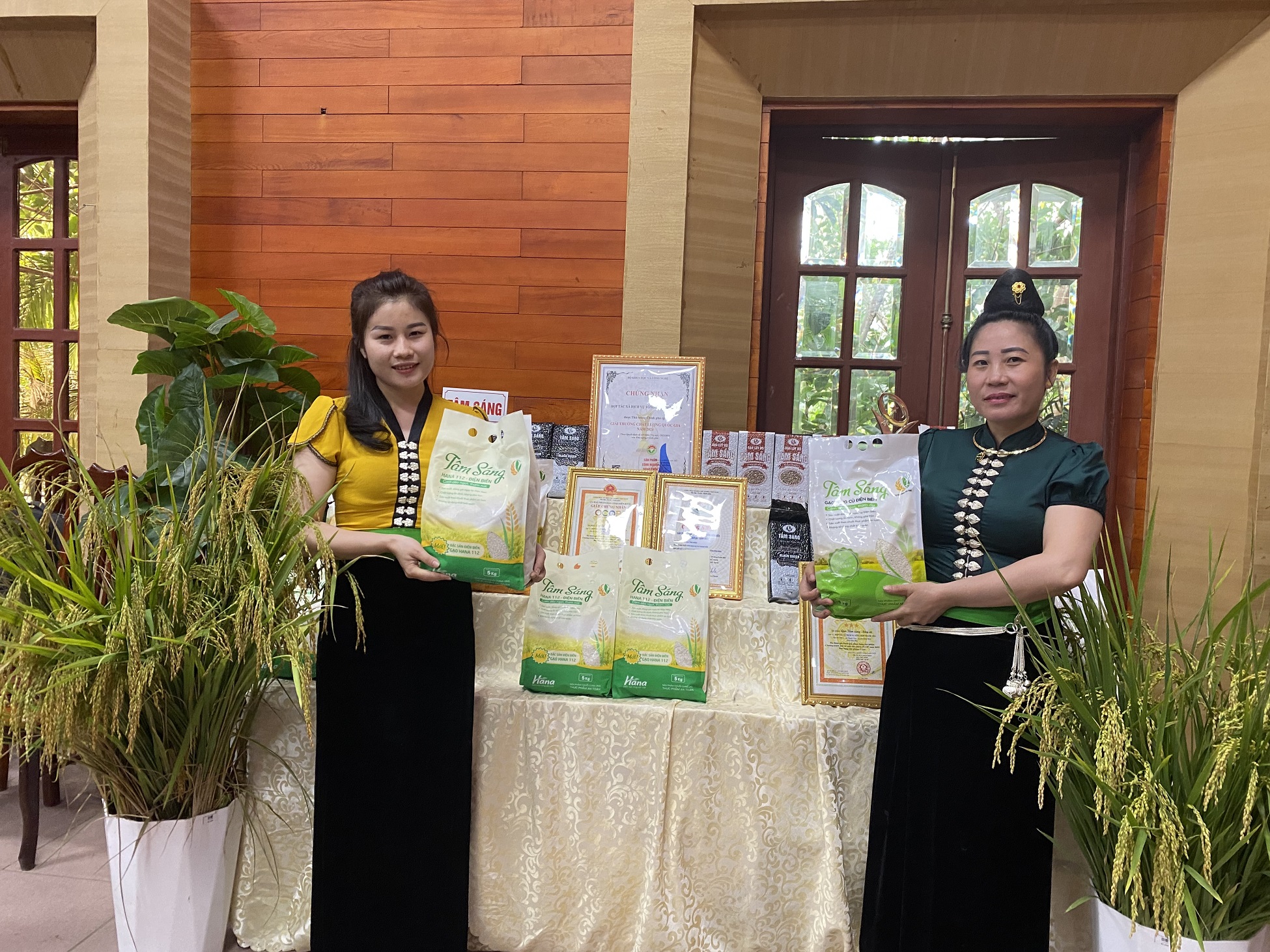 Điện Biên: 3 nhóm giải pháp nâng cao chất lượng, giá trị lúa gạo trên cánh đồng Mường Thanh - Ảnh 2. Điện Biên: 3 nhóm giải pháp nâng cao chất lượng, giá trị lúa gạo trên cánh đồng Mường Thanh - Ảnh 2.