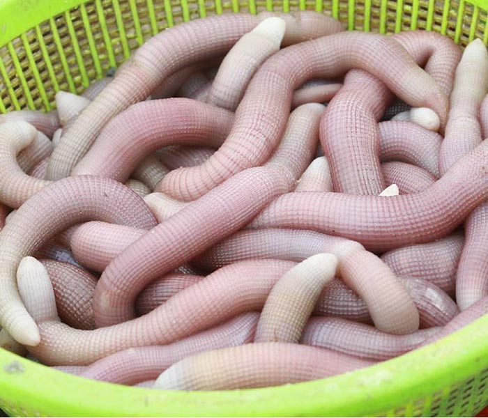 3 loại “thần dược” tốt cho phái mạnh khiến chị em nhà giàu đắt cỡ nào cũng phải lùng mua - Ảnh 8.
