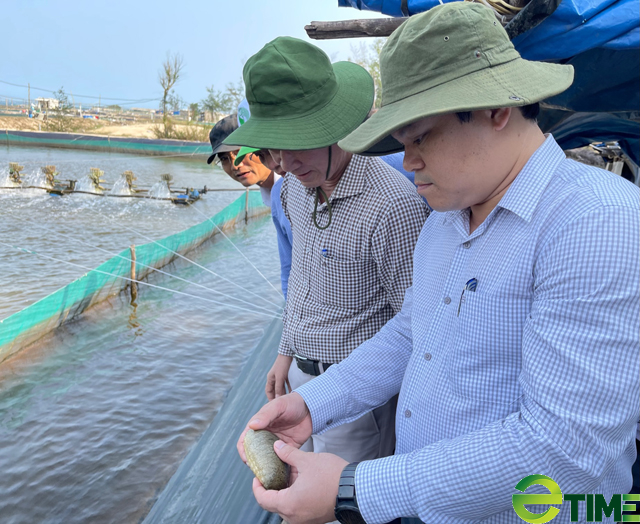 Quảng Ngãi: “Dọn đường” để mời gọi, thu hút đầu tư nuôi trồng thuỷ sản  - Ảnh 3.