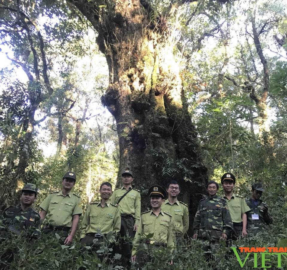 Tăng cường công tác quản lý, bảo vệ rừng và bảo tồn đa dạng sinh học ở Sơn La - Ảnh 2. Tăng cường công tác quản lý, bảo vệ rừng và bảo tồn đa dạng sinh học ở Sơn La - Ảnh 2.