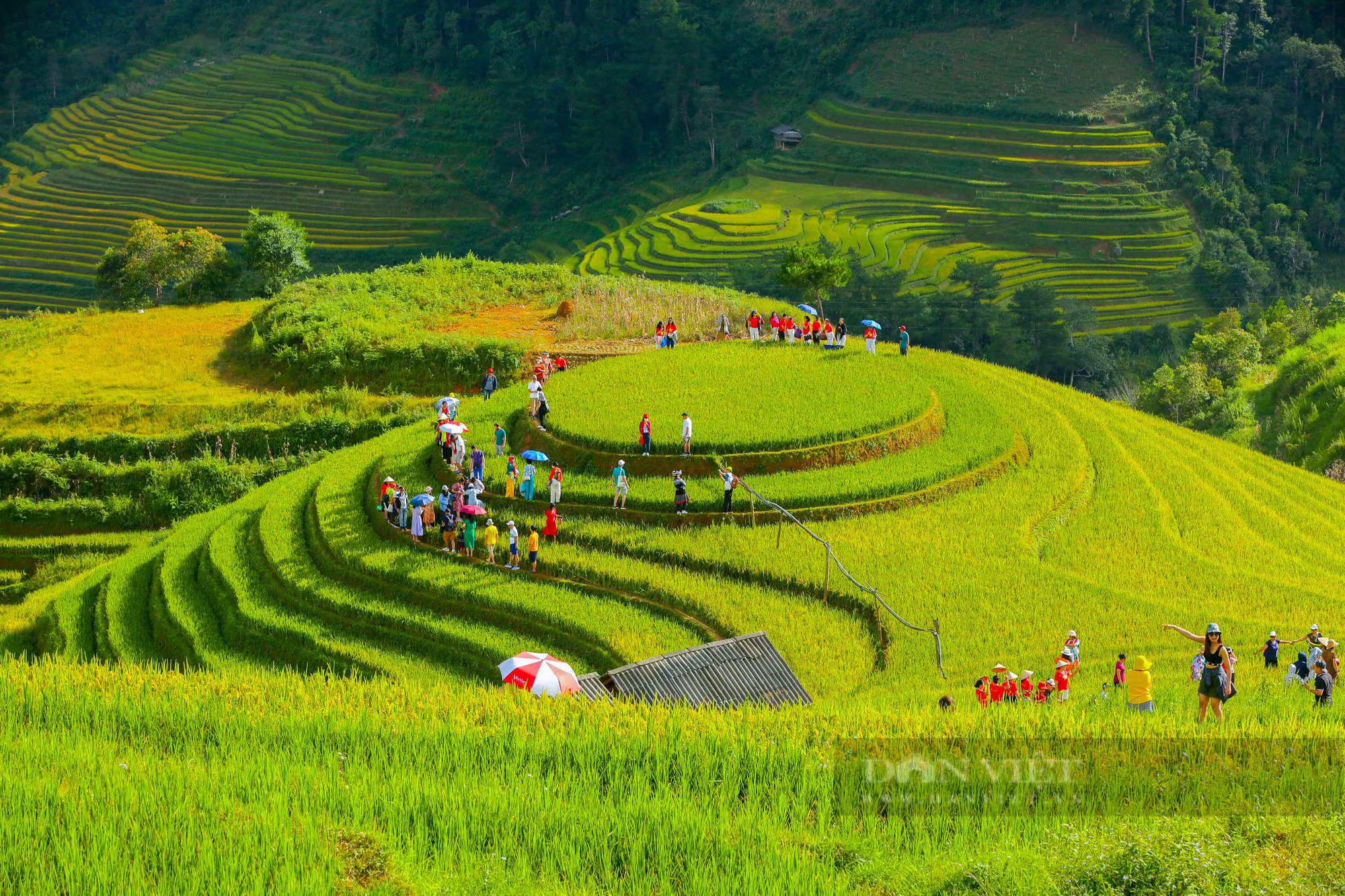 Chiêm ngưỡng vẻ đẹp của Mù Căng Chải vào mùa lúa chín - Ảnh 11.