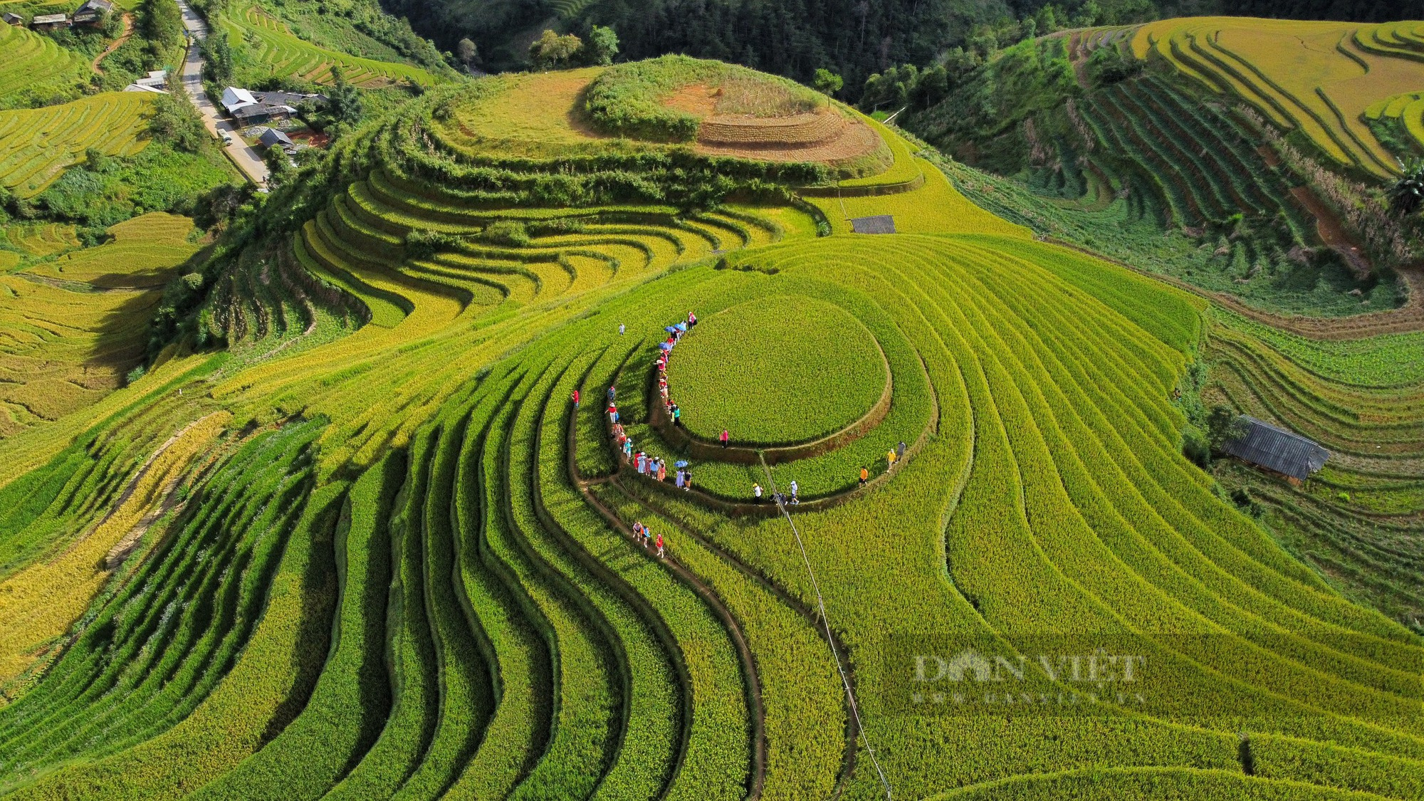 Chiêm ngưỡng vẻ đẹp của Mù Căng Chải vào mùa lúa chín - Ảnh 1.