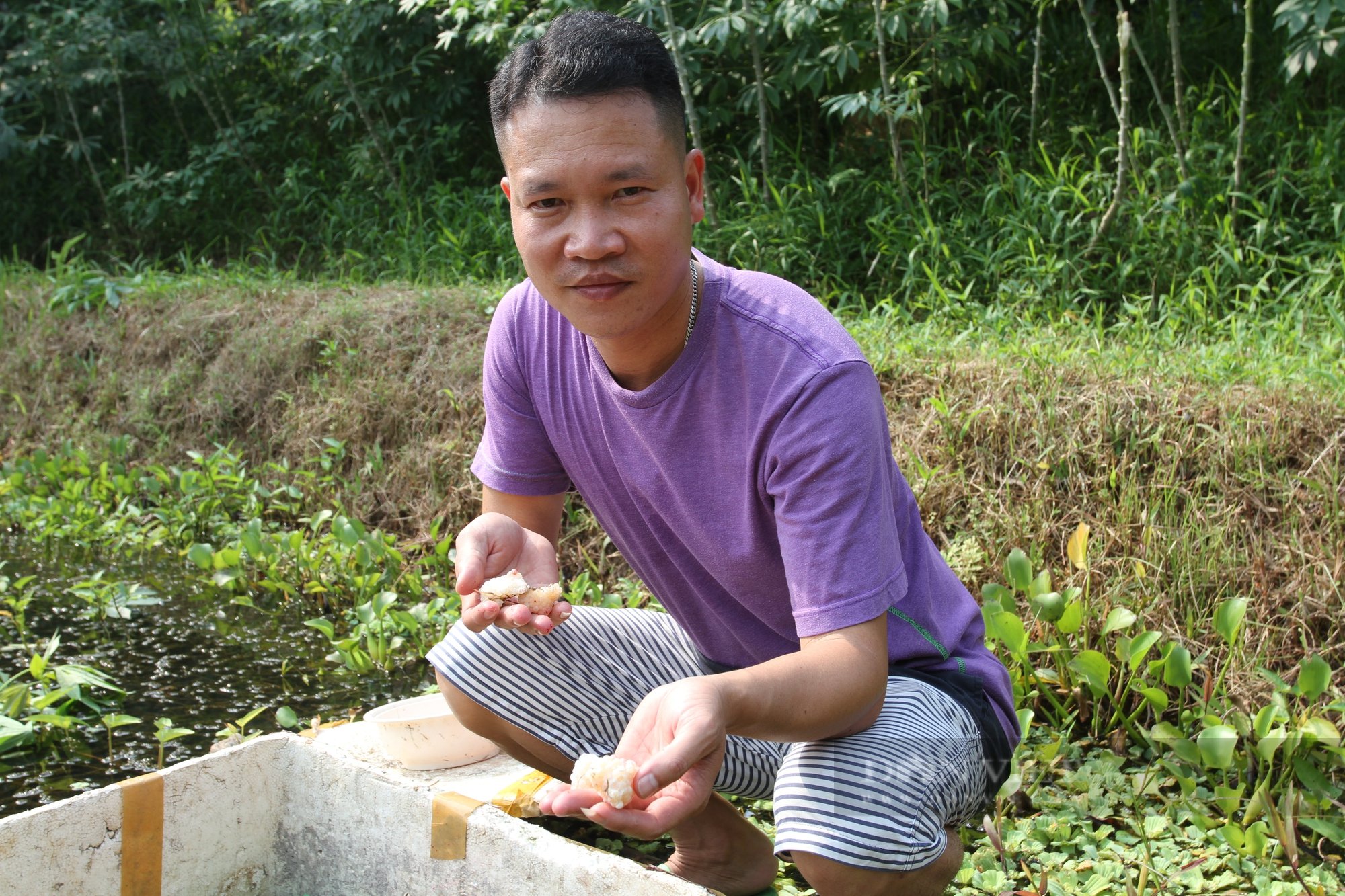 Tuyệt chiêu ấp trứng ốc nhồi của anh nông dân Thái Nguyên khiến ai cũng phải trầm trồ - Ảnh 3.