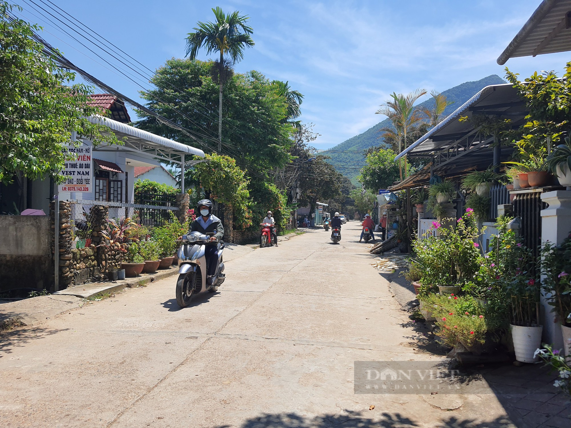 Quảng Nam: Quê hương Ninh Phước đổi thay nhờ nông thôn mới - Ảnh 1.
