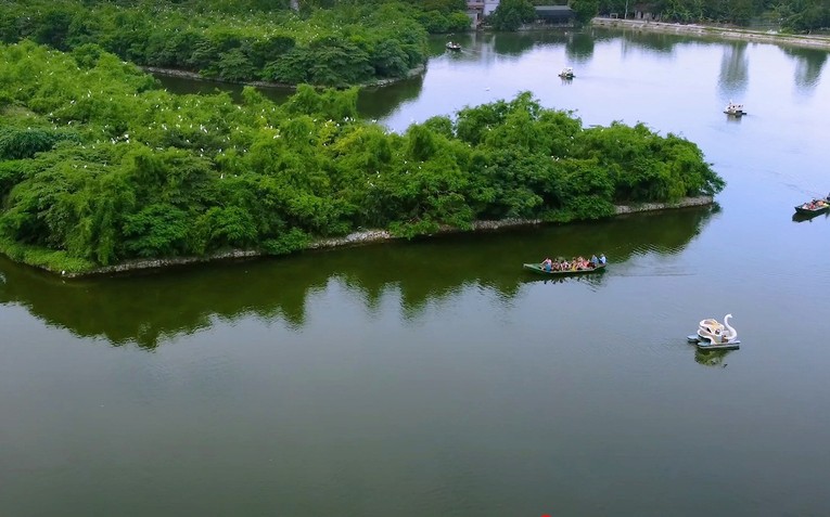 Đến Hải Dương, trải nghiệm đảo cò Thanh Miện và cánh đồng chân núi Côn Sơn - Ảnh 3.