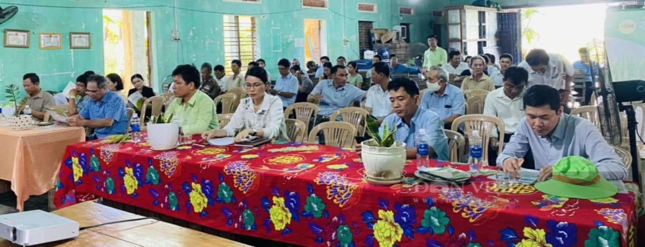 Giống lúa mới của ThaiBinh Seed tạo sức hút khi đến với xứ sở hoa vang - Ảnh 3.
