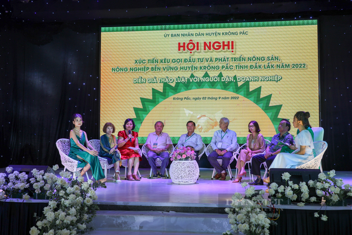 Cam kết đầu tư hơn 11.000 tỷ đồng tại lễ hội sầu riêng huyện Krông Pắc lần thứ I – năm 2022 - Ảnh 1.